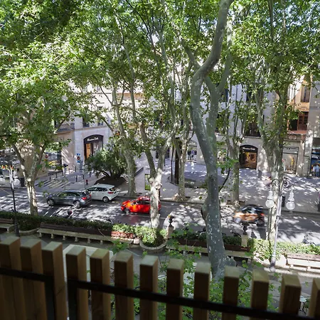 Nivia Born Boutique Hotel-3